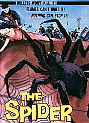 Die Rache der schwarzen Spinne